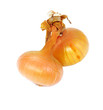 two ripe  onions together isolated over white