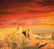 Desert scene