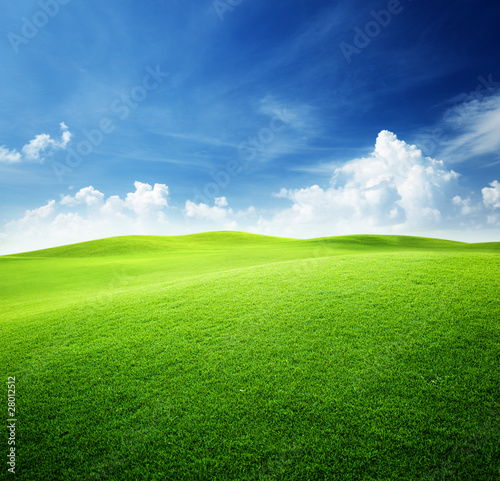 green field and blue sky