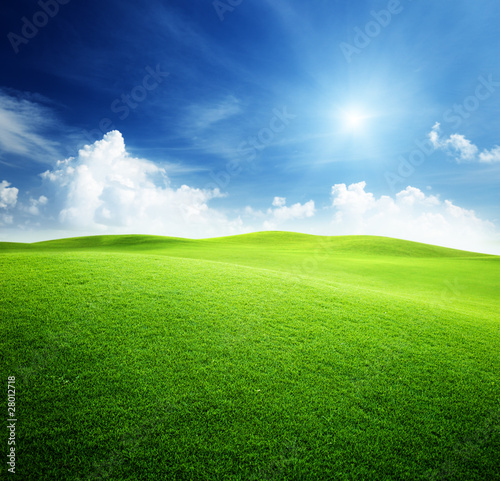 Photo: green field and blue sky green field and blue sky