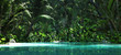 Tropical Paradise