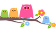 Photo en ligne au meilleur prix owls
