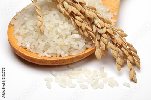 Photo: Rice on white Background Rice on white Background