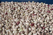 Photo: Texture of pinto beans heap - Italian Borlotto Bean Texture of pinto beans heap - Italian Borlotto Bean