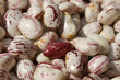 Photo: Close up of fresh beans - Italian Borlotto Bean Close up of fresh beans - Italian Borlotto Bean