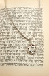 The Torah and silver chain with magen david
