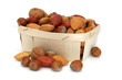 Fruits à coques
