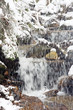 Winter creek