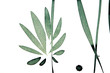 phildotofotolia 10R phildotofotolia 10R