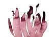 phildotofotolia 12R