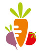vector vegetable - carrot, beet, tomato