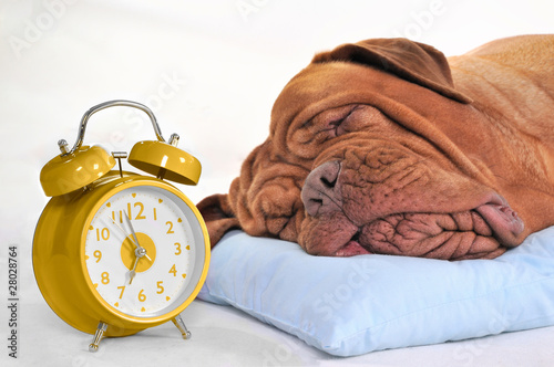 Photo: Time to Wake-Up? Time to Wake-Up?