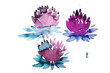 phildotofotolia 27R phildotofotolia 27R