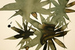 phildotofotolia 57R