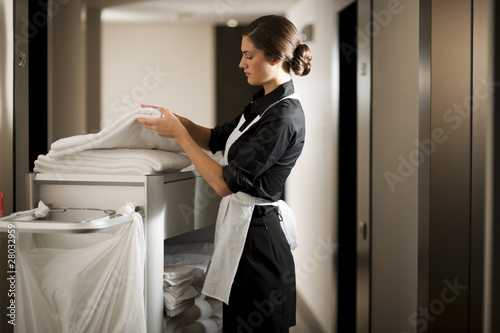 Photo: Maid At Work Maid At Work