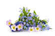 Bouquet of spring flowers Bouquet of spring flowers