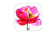 phildotofotolia 85R