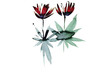 phildotofotolia 96R