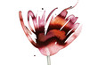 phildotofotolia 106R phildotofotolia 106R
