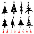 christmas pine tree