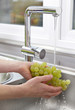 Rinsing a bunch or grapes