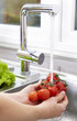 Washing Organic Tomatoes