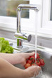 Photo: Washing Tomatoes Washing Tomatoes