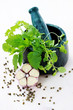 herbal mortar and pestle herbal mortar and pestle