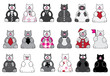 cats and clothes