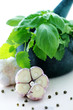 herbal mortar and pestle herbal mortar and pestle