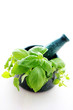 herbal mortar and pestle herbal mortar and pestle
