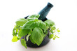 fresh herbs fresh herbs