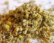 Chamomile