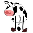 Funny dairy cow.