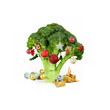 Broccolo di natale Broccolo di natale