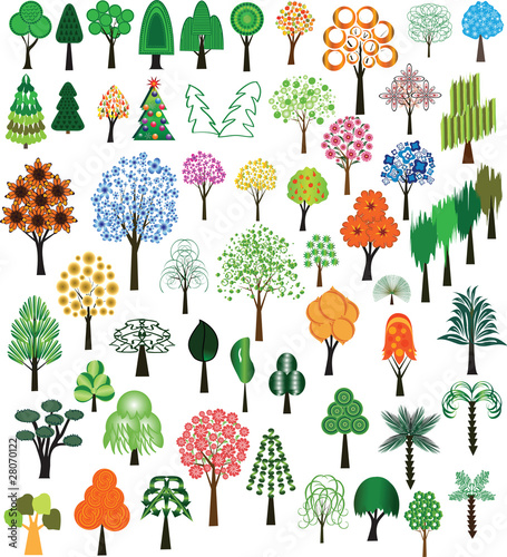 Vector: Set of vector of trees Set of vector of trees