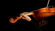 Musician playing violin