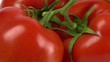 Pomodori e Scarola