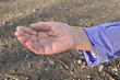 Outstretched hand of an elderly woman begging Outstretched hand of an elderly woman begging