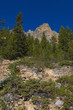 Castle Mountain Castle Mountain