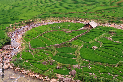 Photo: Rice paddy river Rice paddy river