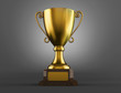Gold trophy cup on a grey background