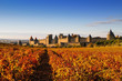 La cité de carcassonne La cité de carcassonne