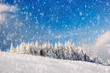 Winter landscape in mountains