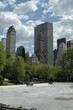 Patinoire