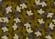 maculato leopardo