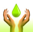 Illustration: hands with green drop hands with green drop