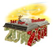 2011 Le Bonheur en 365 Pages