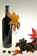 Rotwein6