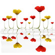 Coqueliots bi-colores jaune rouge